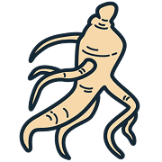 高麗人参